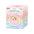 POP MART PUCKY BEANIE BUBBLE UP SERIES-Plush Pendant Blind Box Mystery Box Guess Bag Toys Doll Cute Anime Figure Desktop Ornamen